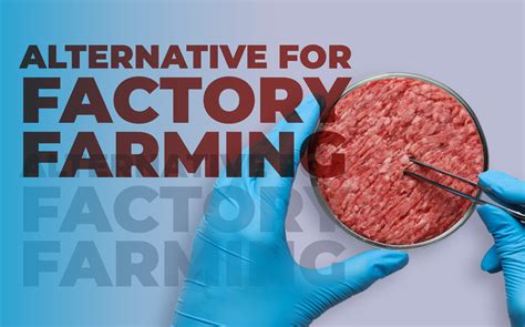 are there better alternatives to factory farming
